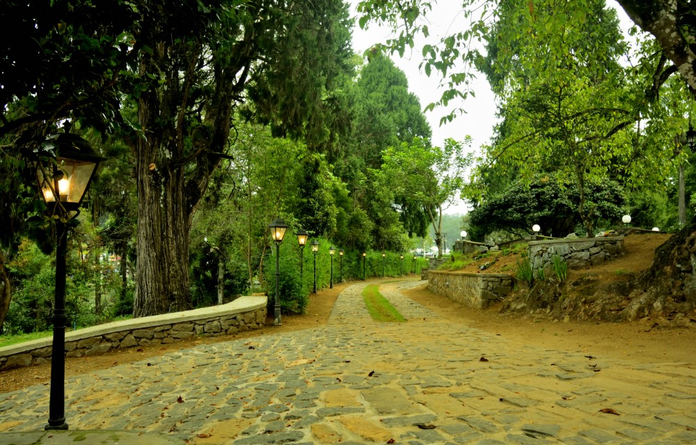 The Tredis Heritage by the lake Gallery